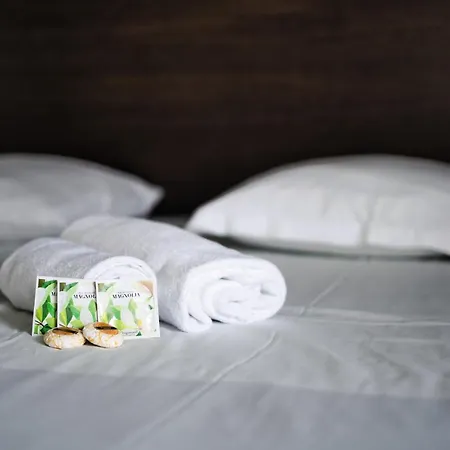 Hotel Menton Le Vendome מלון 3*