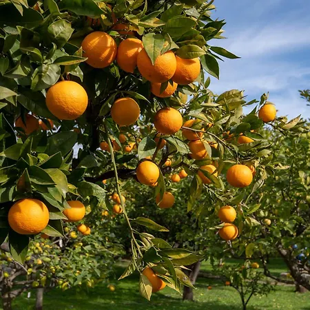 Belambra Hotels&Resorts Menton le Vendôme