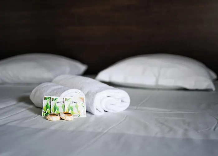 Hotel Menton Le Vendome ホテル 3*