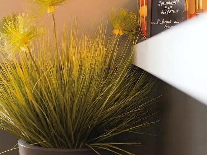 ホテル Hotel Menton Le Vendome